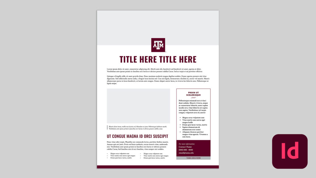 Fact Sheet 2 InDesign Template – Marketing & Communications | Texas A&M ...