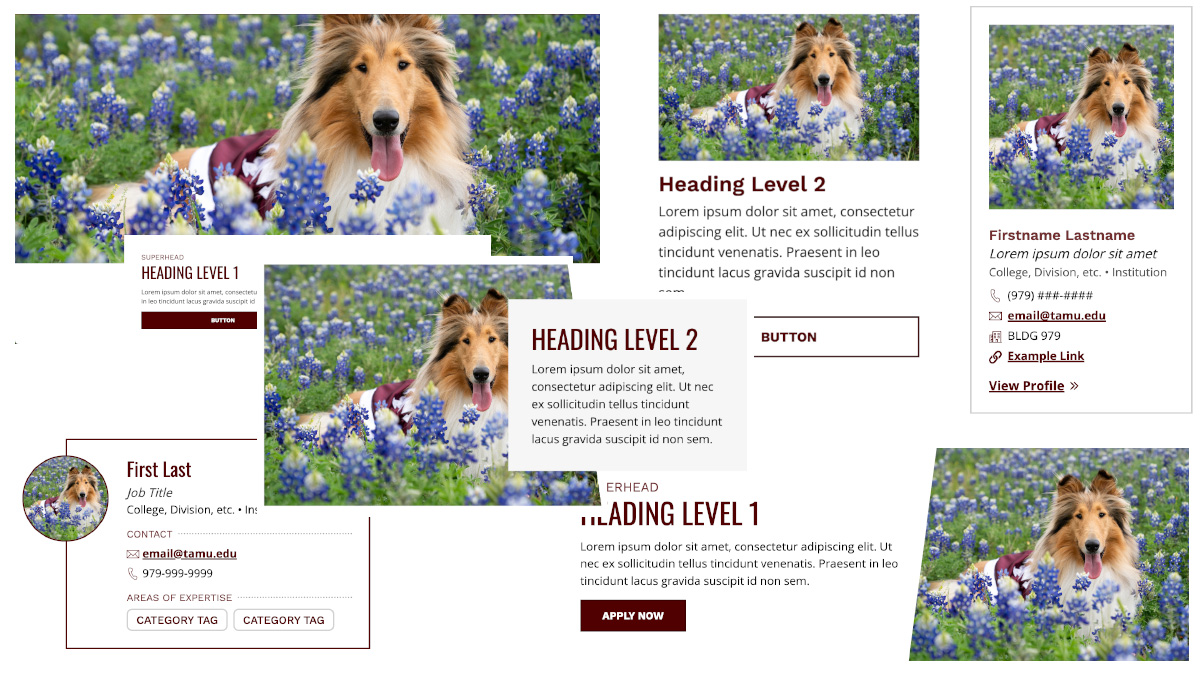 Aggie UX Image Templates & Optimization