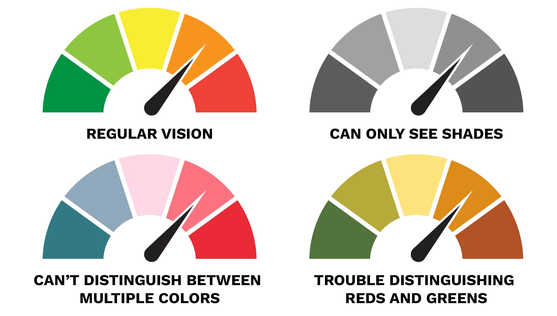 A diagram showing different color contrast examples for the following: "Regular Vision", "Can only see shades", "Can't distinguish between multiple colors", "Trouble distinguishing reds and greens"