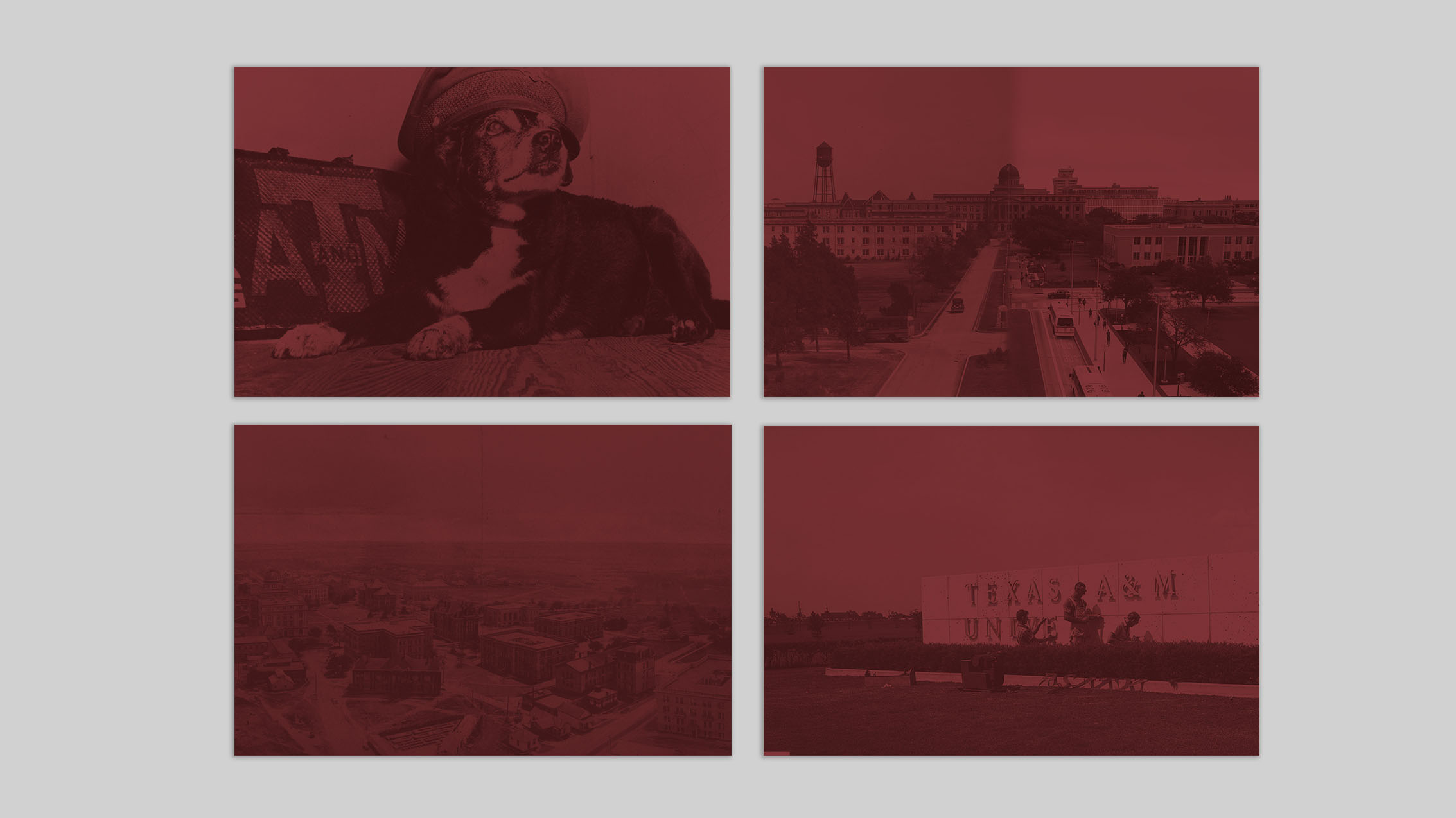 Thumbnail example of all four maroon duotone backgrounds: main university sign, historic campus aerial, academic building and the original reveille